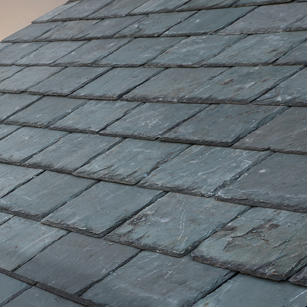Natural Slate and Shake