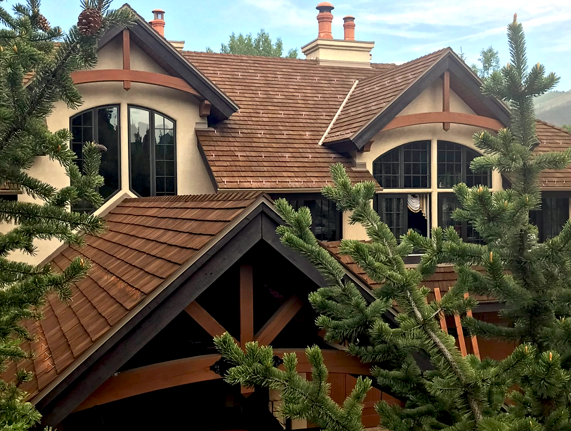 PD50 Pad-style Snow Guard