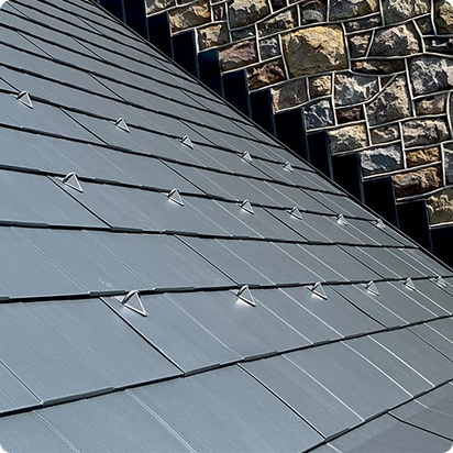 PD30 Pad-style Snow Guard