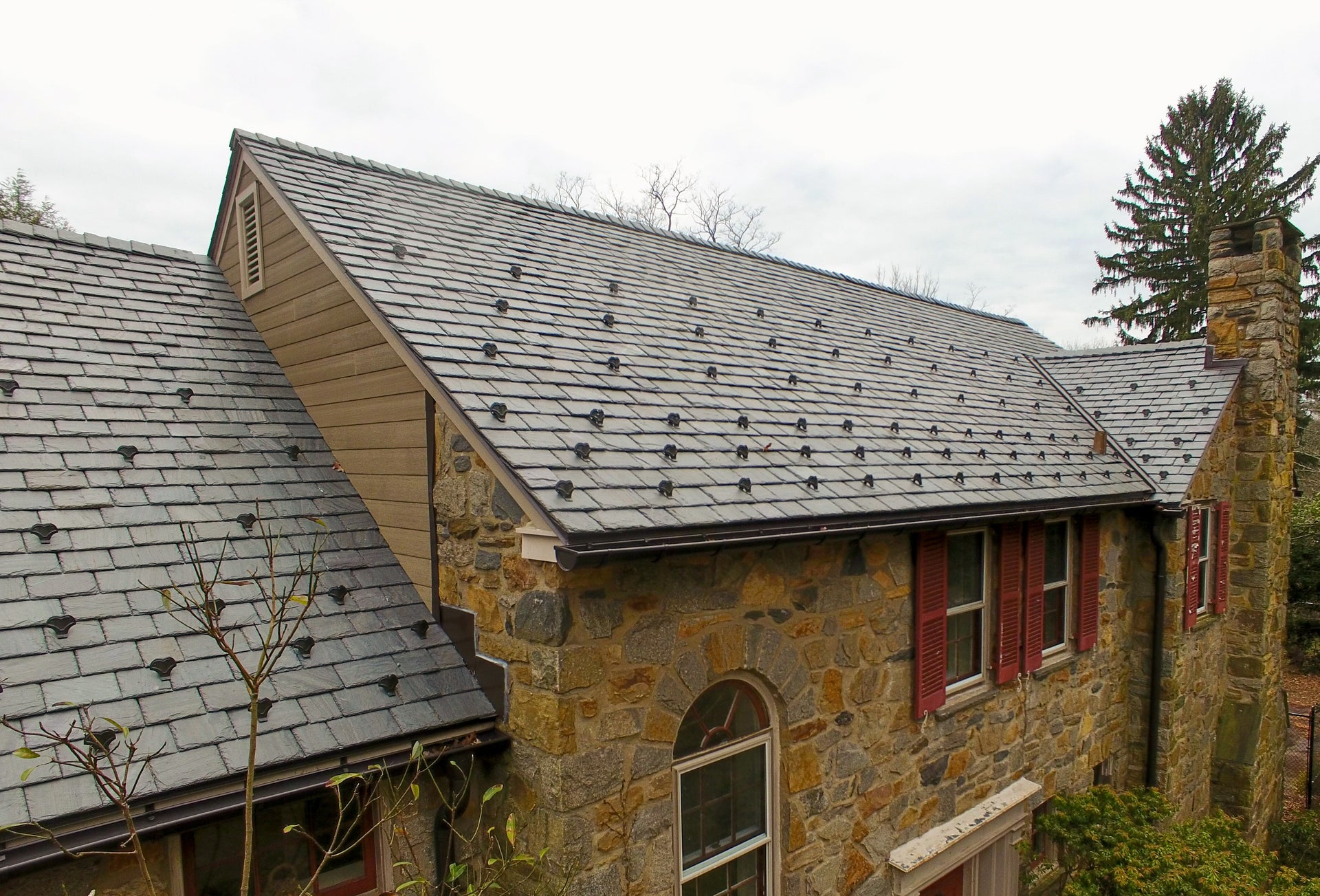 Snow Bird Pad-style Snow Guard