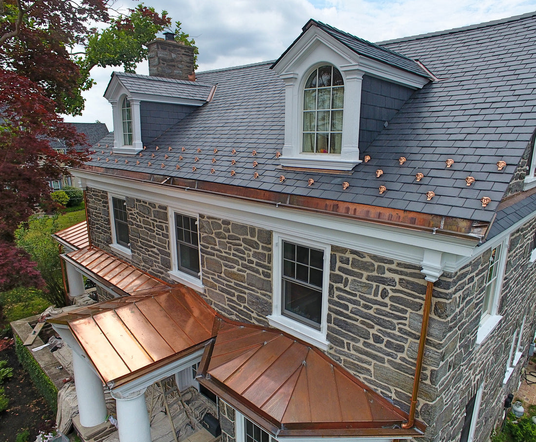 Hybrid Pad-Style Snow Guards